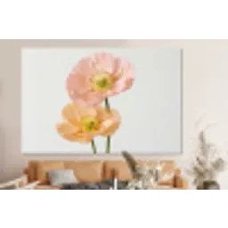 Papavers - Botanisch - Roze forex 5mm xxl -bovenbank
