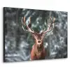 Hert - Winter - Sneeuw - Bos - Natuur - Dier Textielframe - compleet frame klein -3d