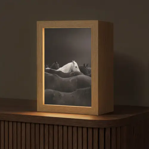 Paarden - Zwart - Wit - Kudde Light Box met kabel (Tafellamp) klein -z3d_website