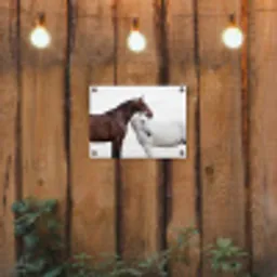 Paard - Modern - Balans tuinposter los doek klein -sfeer1