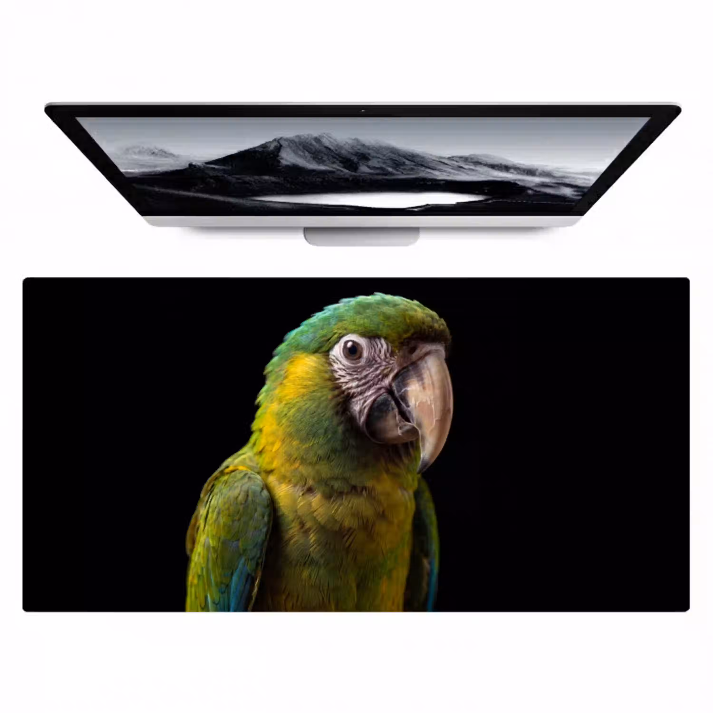 Ara - Portret - Groen Muismat XXL klein -zzz3d