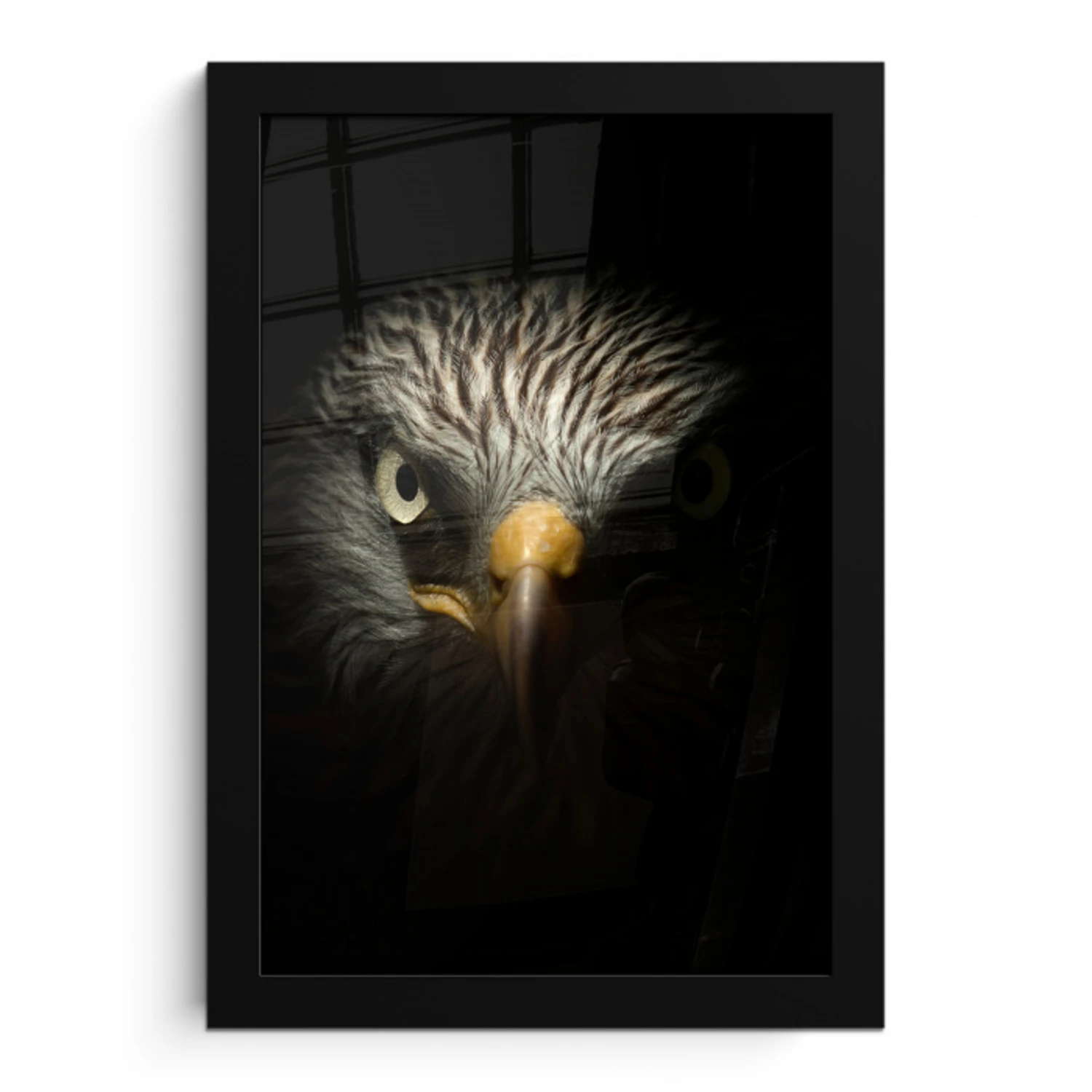 Vogel - Adelaar - Roofvogels - Oog - Snavel - Licht fotolijst zwart zonder passe partout klein -3d