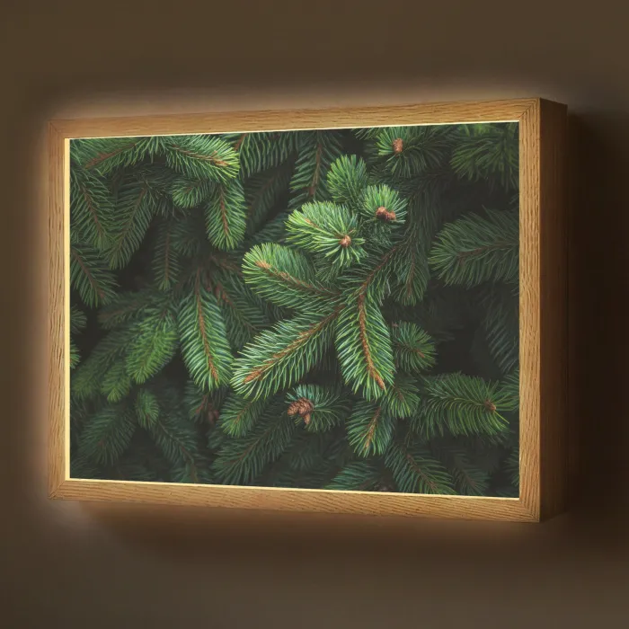 Sparrentakken - Knoppen - Naalden - Groen Light Box met batterij (Wandlamp) middel -z3d_website