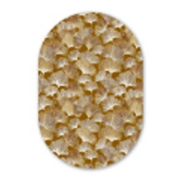 Ginkgo - Bladeren - Goud Wandcirkel Ovaal Forex klein 630 -3d