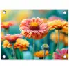 Bloemen in zomerse pracht tuinposter los doek klein -3d
