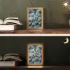 Zeesterren - Stenen - Wit Light Box met kabel (Tafellamp) klein -sfeer3