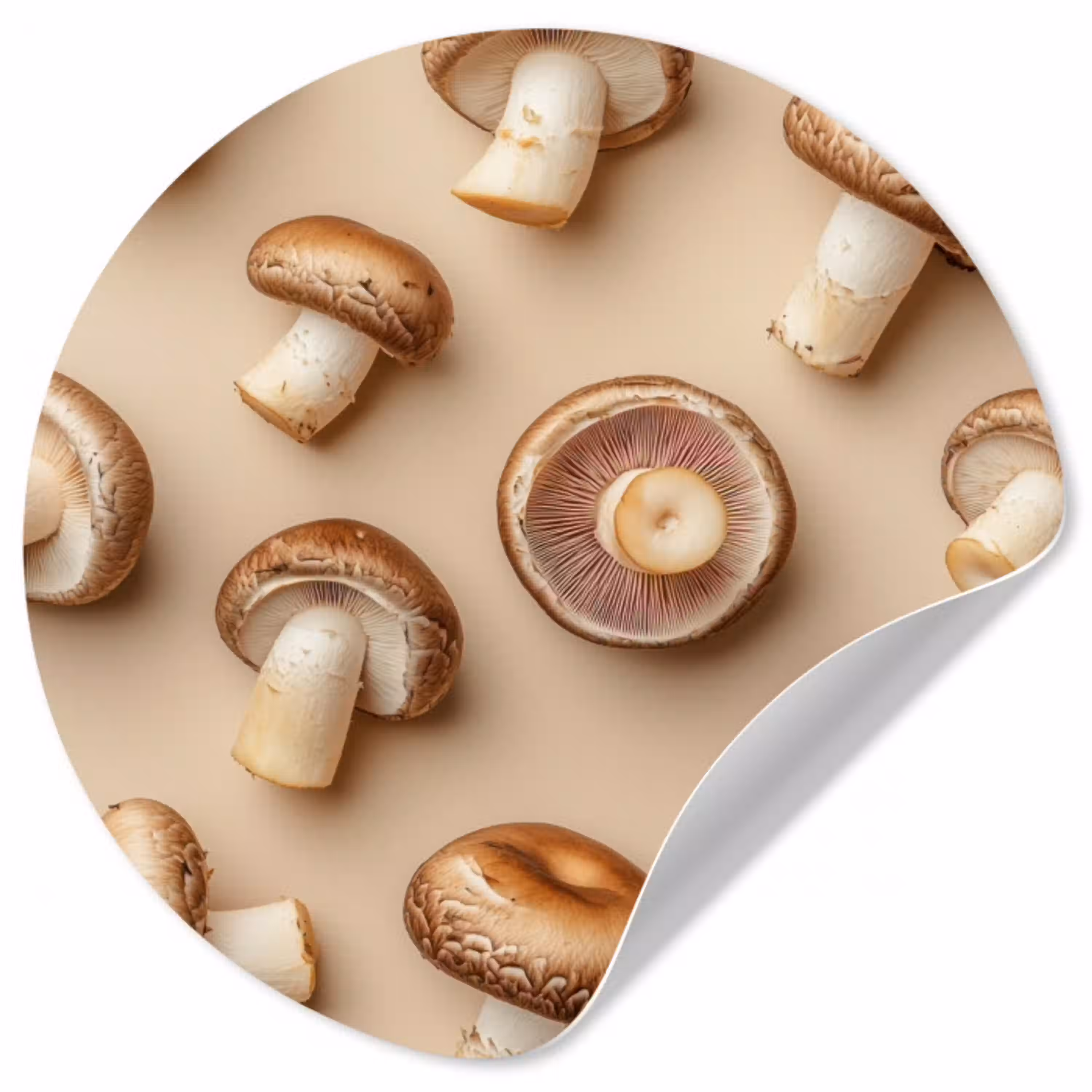 Kastanje Champignons - Beige Wandcirkel behangsticker klein -3d