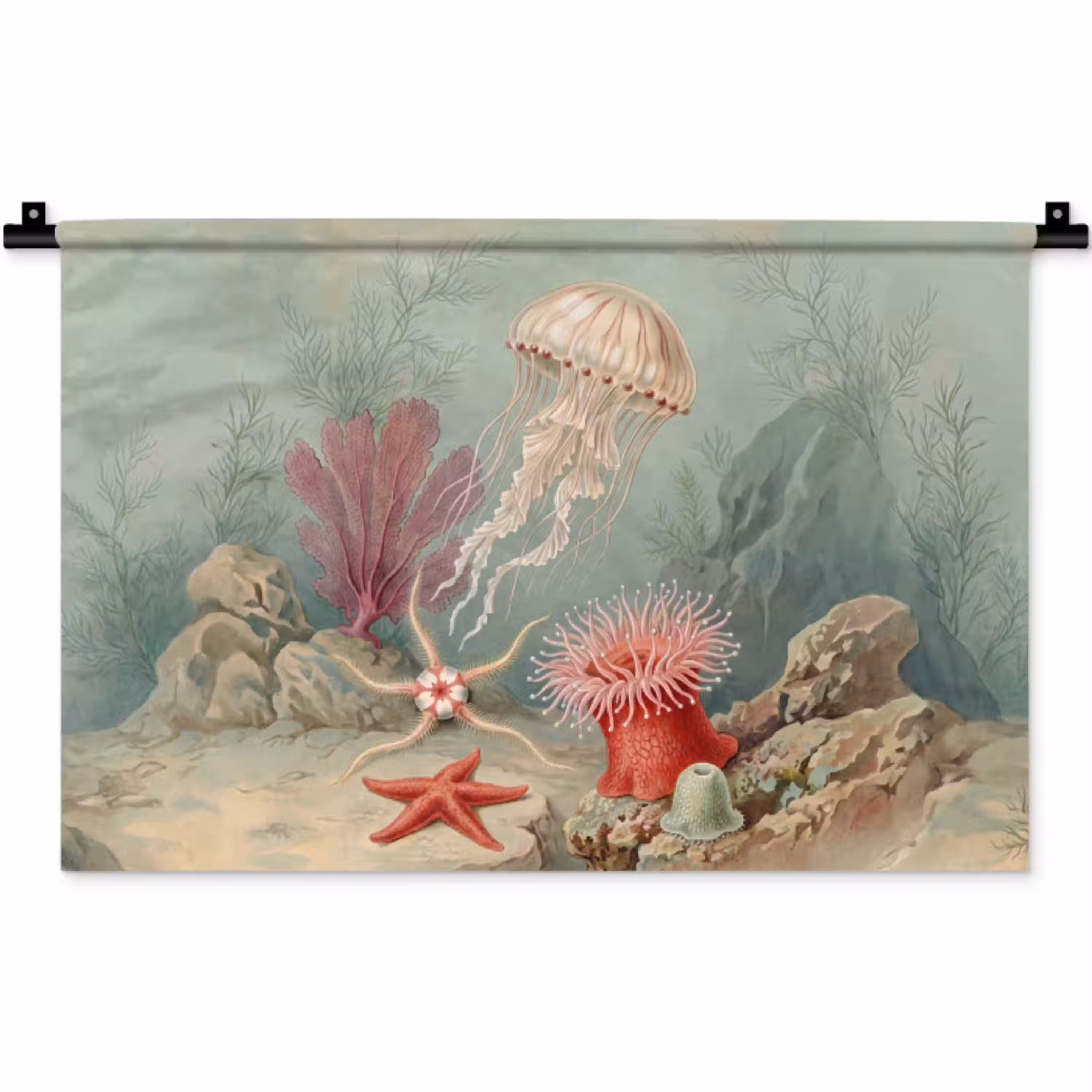 Zeeleven - Kwal - Onderwater - Illustratie - Beige Wandkleed katoen klein -zz3d