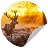 Hert - Dieren - Zonsondergang - Winter - Heide - Natuur Wandcirkel behangsticker klein -3d