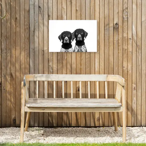 Honden - Bivakmuts - Zwart - wit Tuinposter op houten frame 2 cm dik klein -sfeer4
