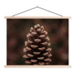 Dennenappel - Bos - Herfst - Bruin - Sfeervol textielposter latten blank klein -3d