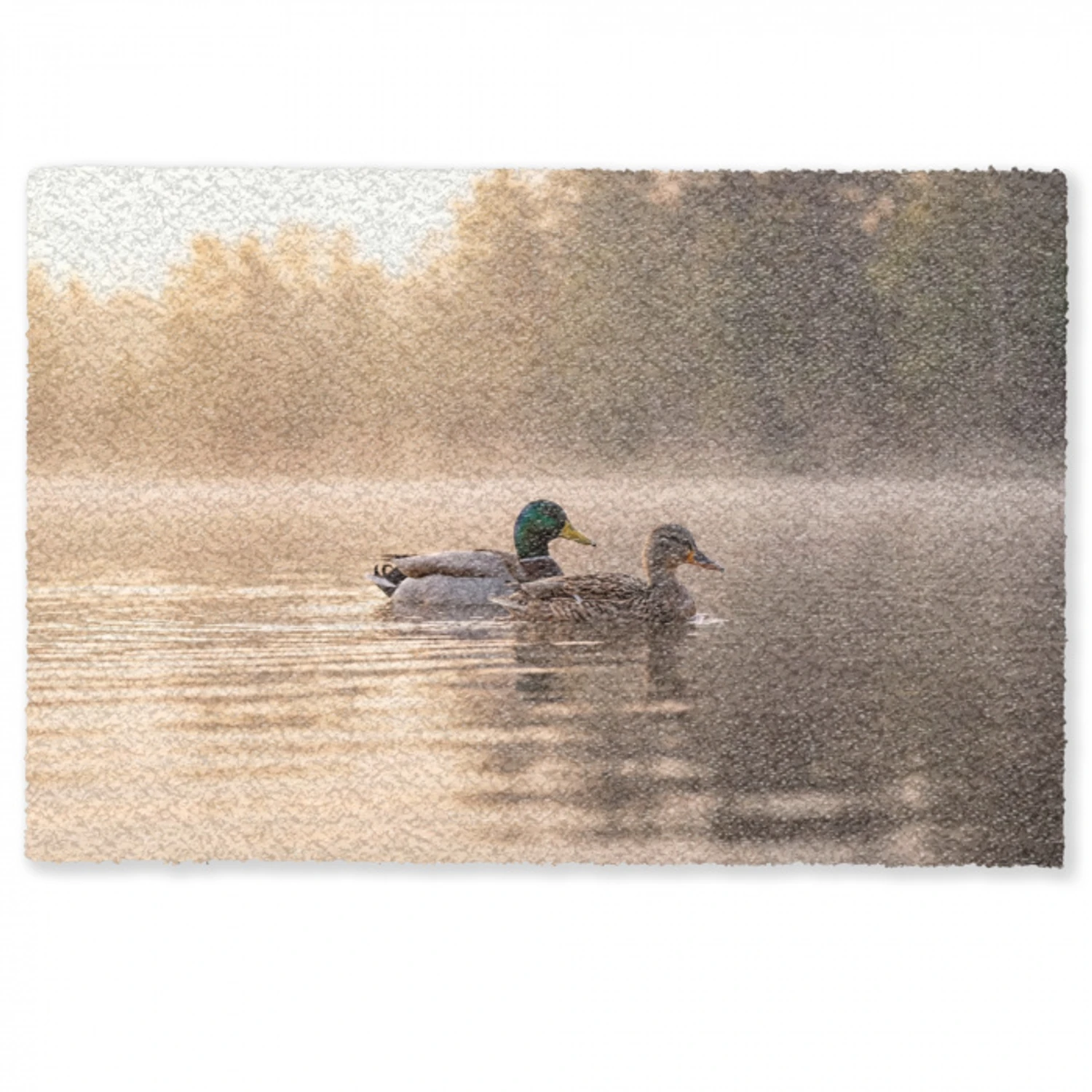 Eenden - Water - Mist - Natuur Deurmat klein -zkaufland3d