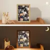Kat - Dieren - Poes - Patroon - Jongen - Meisje Light Box met kabel klein -sfeer3_kind