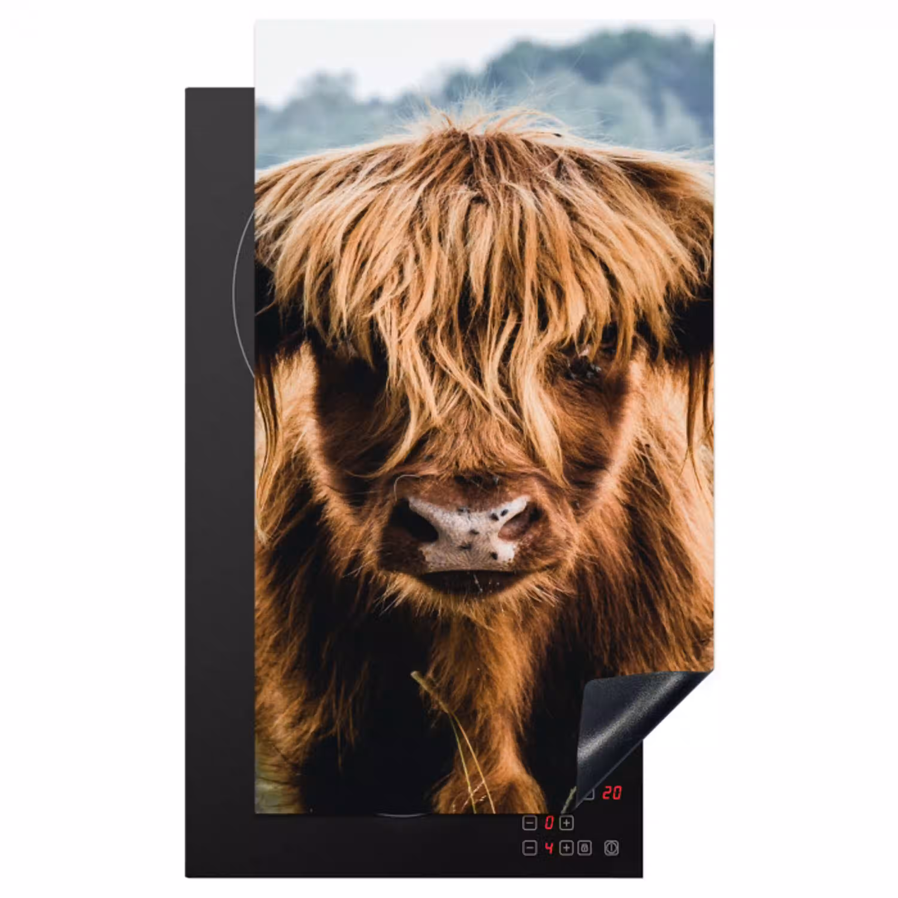 Koeien - Schotse hooglander - Bruin - Natuur Inductie beschermer vinyl 3mm middel -3d