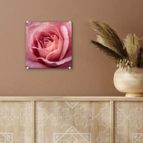 Roze - Roos - Romantisch plexiglas 5mm klein -sfeer5