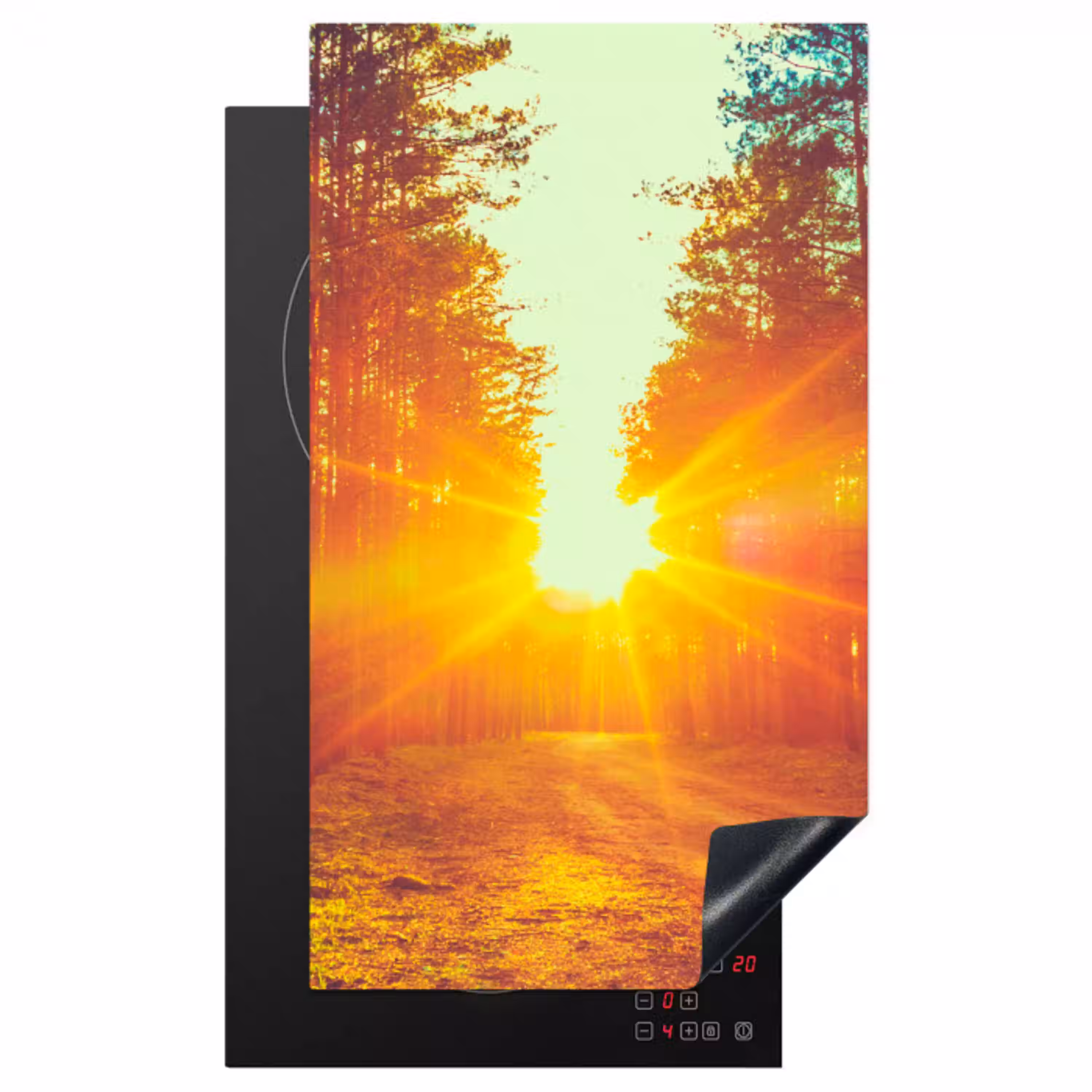 Zonsondergang - Bomen - Bos - Natuur Inductie beschermer vinyl 3mm middel -3d