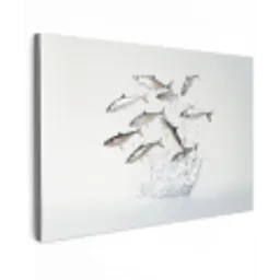 Vissen - Water - Wit Tuinposter op houten frame 2 cm dik klein -3d