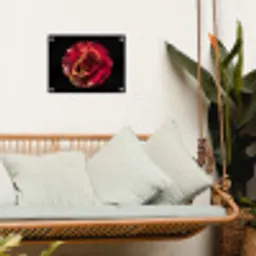 Bloem - Roos - Rood - Zwart tuinposter los doek klein -sfeer7