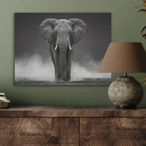Olifant - Zwart - Wit - Rook PET vilt klein -sfeer2