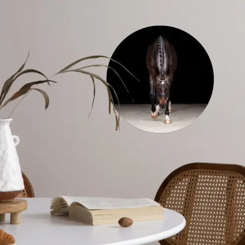 Paard - Modern - Portret Wandcirkel behangsticker klein -sfeer3