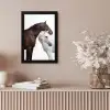 Paard - Modern - Balans fotolijst zwart zonder passe partout klein -sfeer5