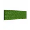 Groen - Vogels - Vleugels canvas 2cm klein 828 -z3d