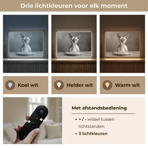 Sphynx - Kat - Dieren - Humor - Spaghetti - Zwart Wit Light Box met batterij (Wandlamp) middel -USP_lichtkleurNL