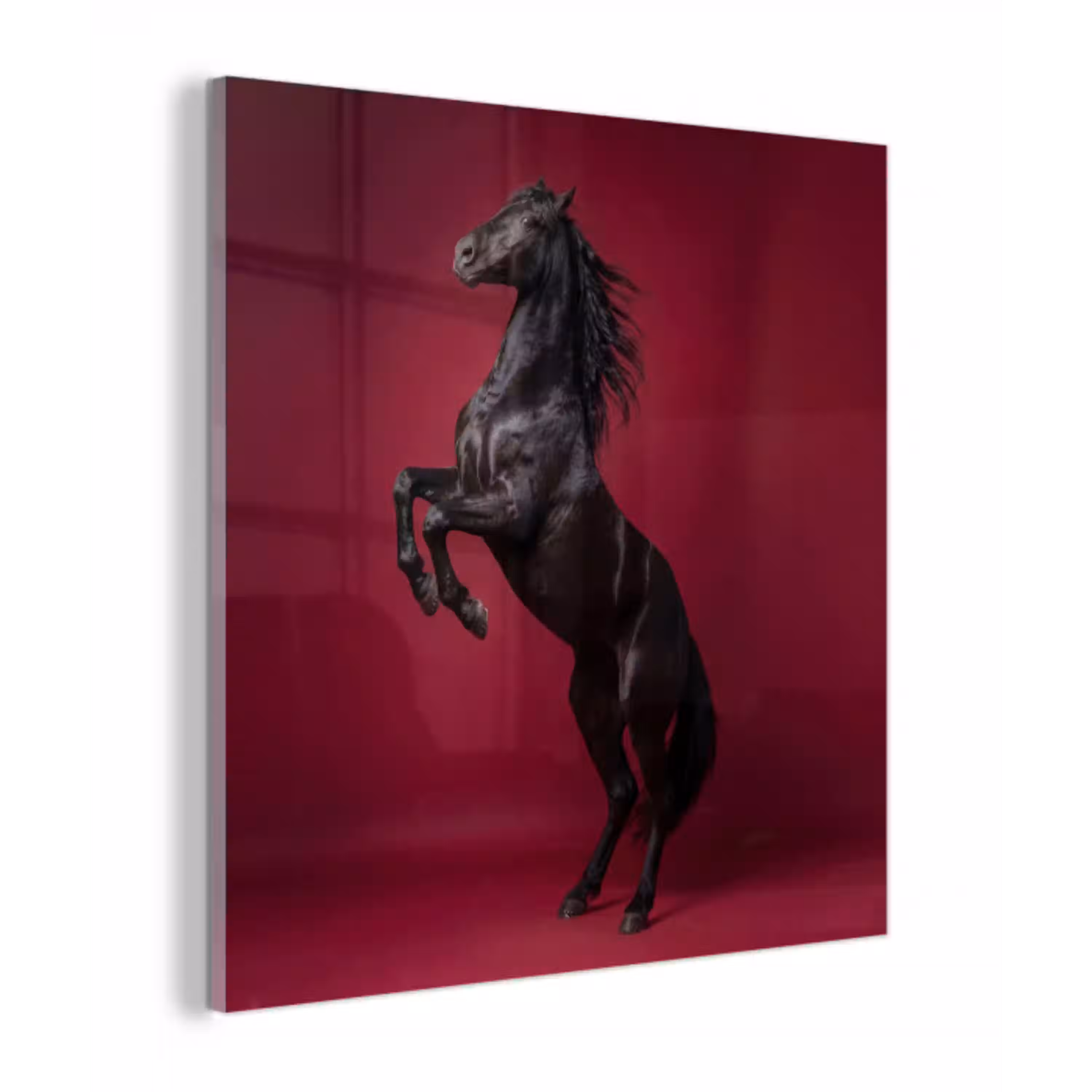 Hengst - Steigert - Rood plexiglas 5mm klein -z3d