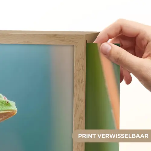 Kleurrijke kikker - Groene stengel - Alert Light Box met batterij (Wandlamp) middel -USP_websiteprintNL