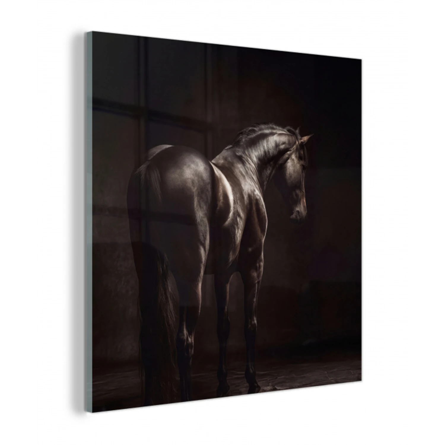 Krachtig - Paard - Donker plexiglas 5mm klein -z3d