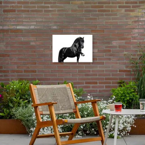 Fries - Hengst - Modern Tuinposter op houten frame 2 cm dik klein -sfeer3