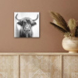 Schotse Hooglander - Dier - Douche - Humor aluminium wit klein -sfeer4