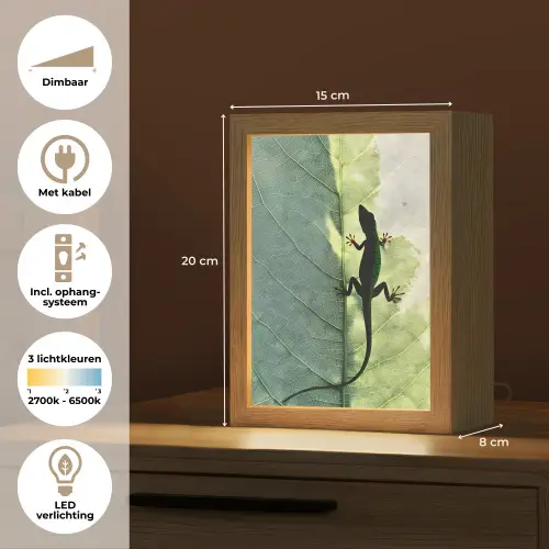 Hagedis - Blad - Nerven - Groen Light Box met kabel (Tafellamp) klein -USP_NL