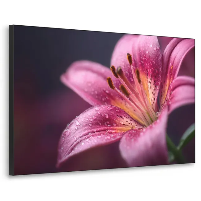 Art frame - Roze - lelie - Dauwdruppels