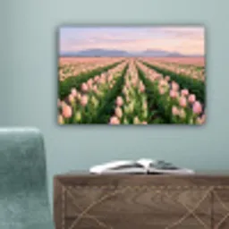 Tulpen - Landschap - Roze canvas 2cm klein -sfeer4