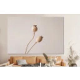 Papaverbollen - Droogbloemen - Minimalistisch - Beige - Rustig forex 5mm xxl -bovenbank