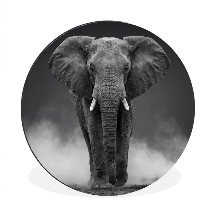Olifant - Zwart - Wit - Rook Wandcirkel aluminium klein -3d
