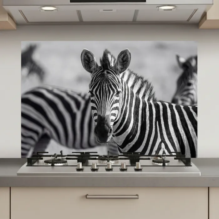 Zebra's - Zwart - Wit keuken achterwand spatscherm klein -3d_website
