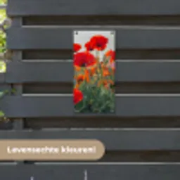 Klaprozen in close-up bij zonsondergang tuinposter los doek klein -sfeer3