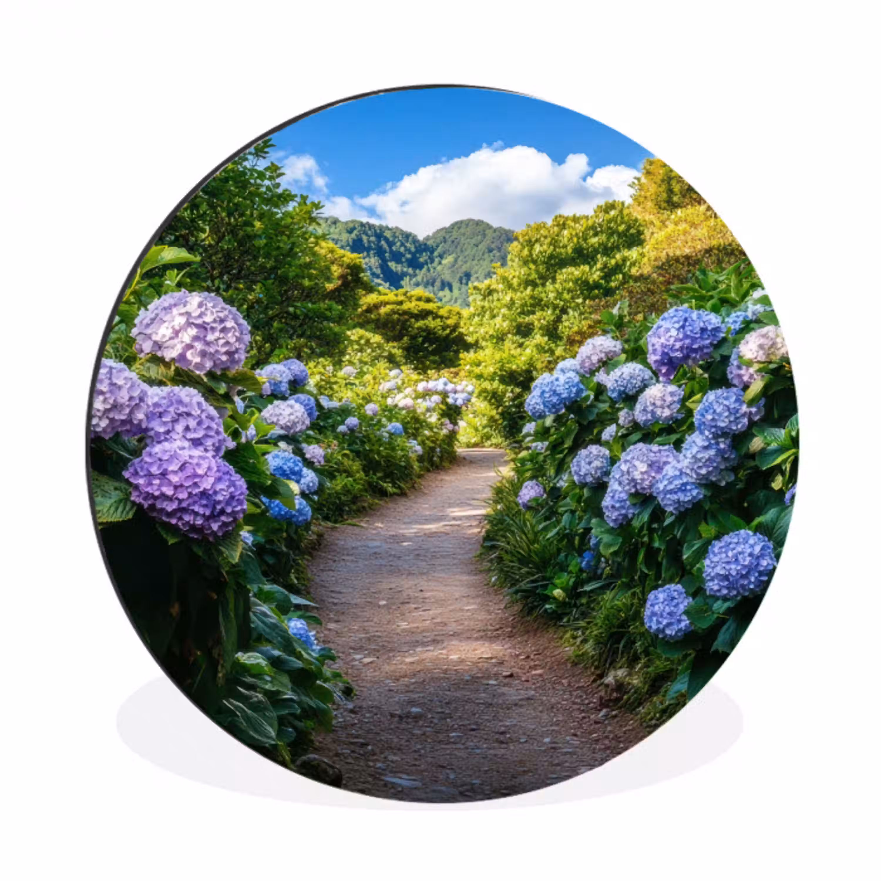 Hortsensia - Pad - Bloemen Wandcirkel aluminium klein -3d