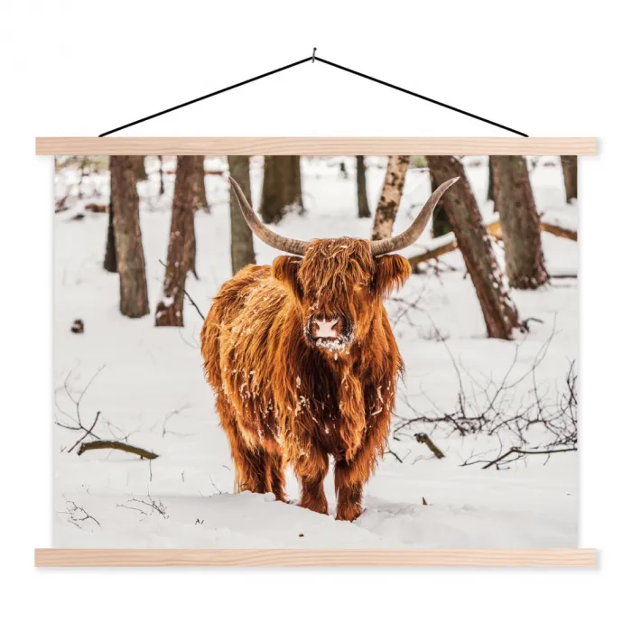 Schotse Hooglander - Sneeuw - Winter - Natuur - Dieren textielposter latten blank klein -3d