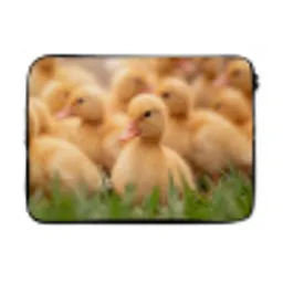 Pijltje - Eend - Natuur - Geel laptophoes neopreen klein -3d