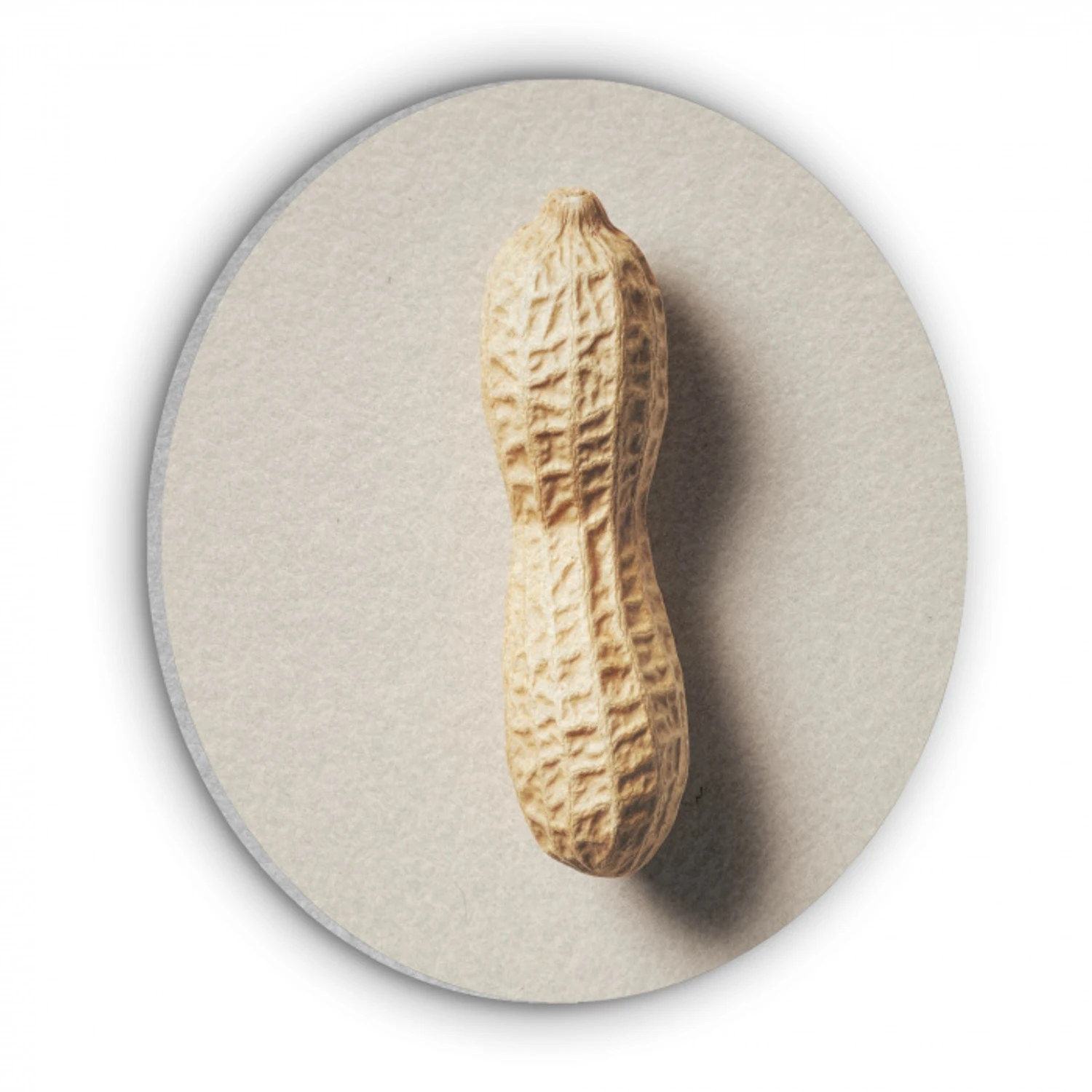 Pinda - Ruw - Beige Akoestische PET Vilt - Rond klein -3d