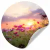 Bloemen - Roze - Zonsondergang - Natuur - Weide - Horizon Wandcirkel behangsticker klein -3d
