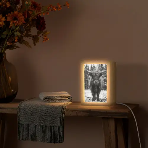 Schotse hooglander - Zwart - Wit - Sneeuwvlokken Light Box met kabel (Tafellamp) klein -sfeer4