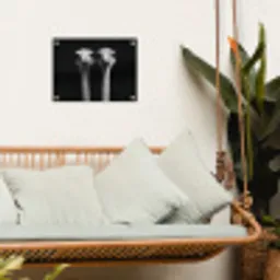 Struisvogels - Halzen - Zwart - Minimalistisch tuinposter los doek klein -sfeer7