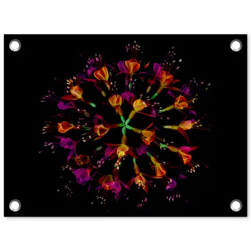Bloemen - Oranje - Roze - Zwart tuinposter los doek klein -3d