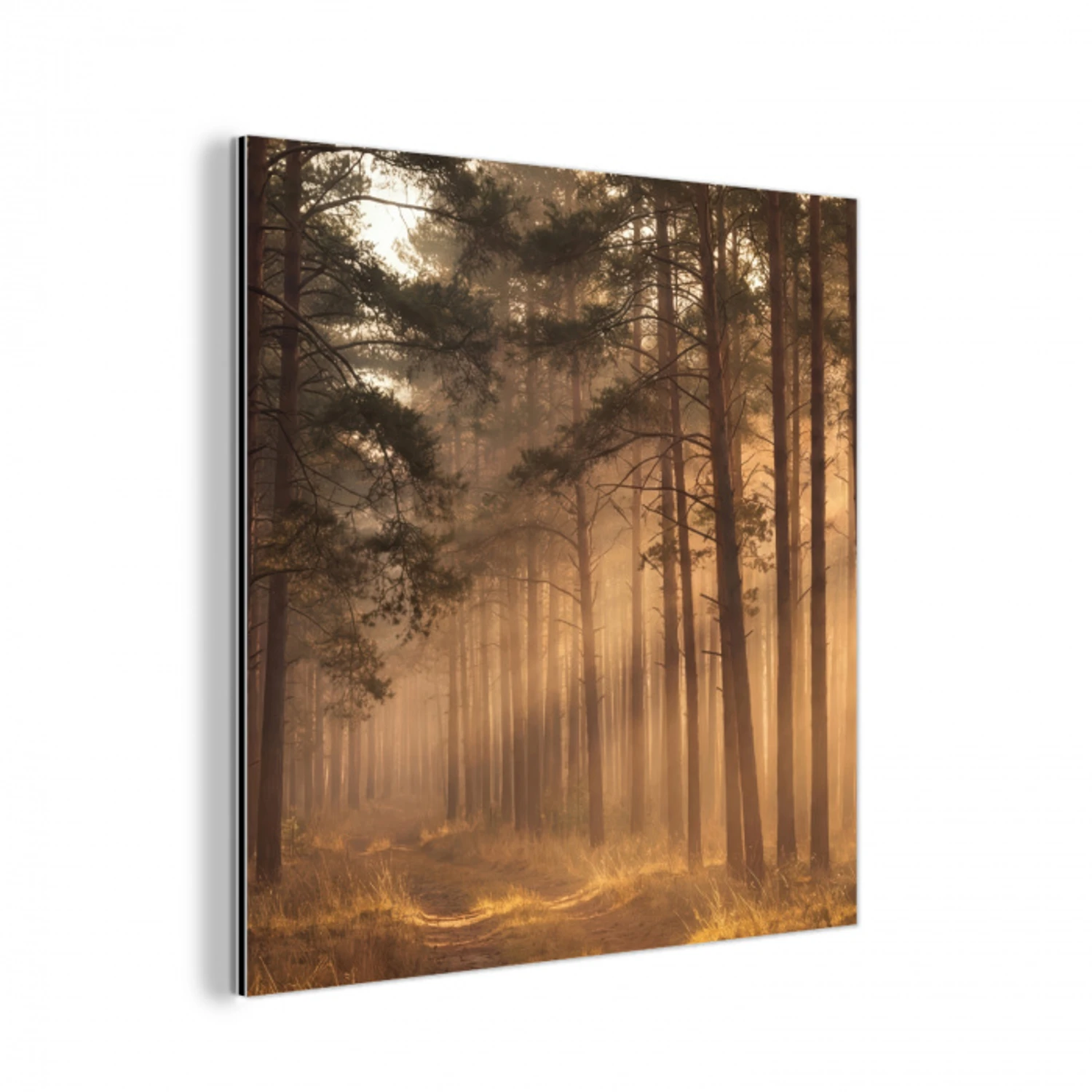 Bos - Mist - Zonlicht aluminium wit klein -3d