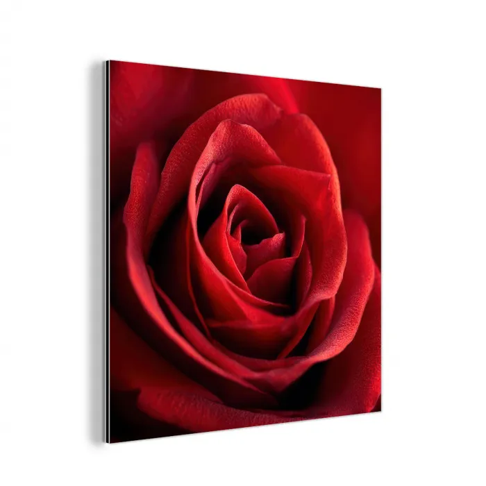 Rood - Roos - Romantisch aluminium wit klein -3d