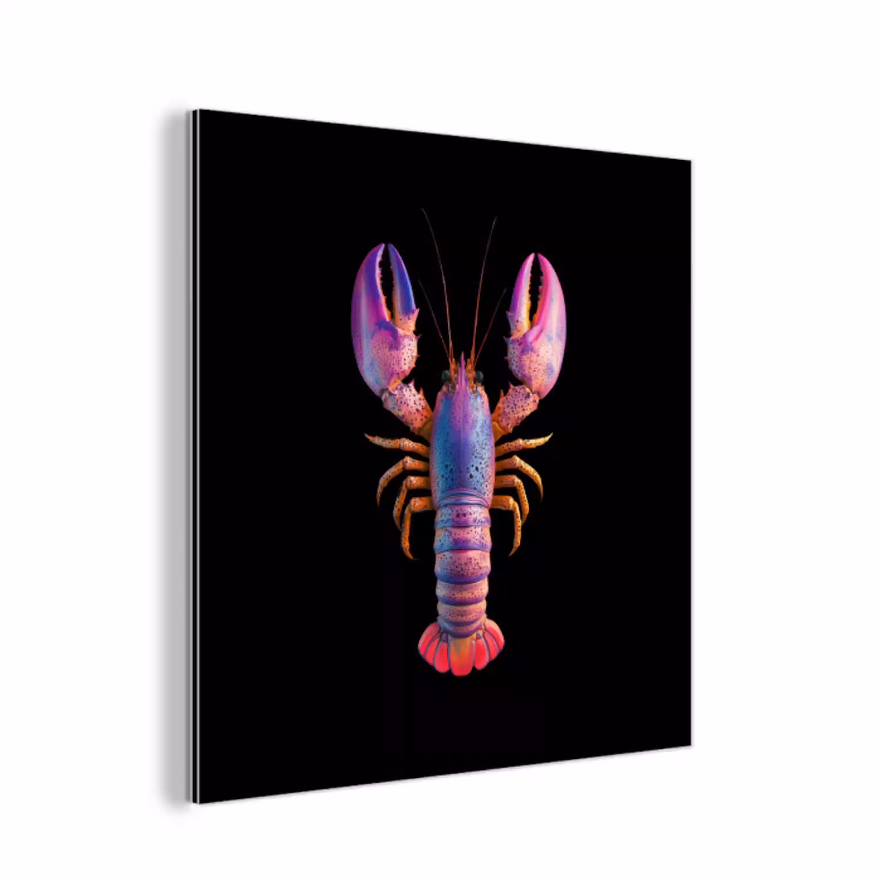 Kreeft - Paars - Roze - Zwart - Stippen - Lila aluminium wit klein -3d